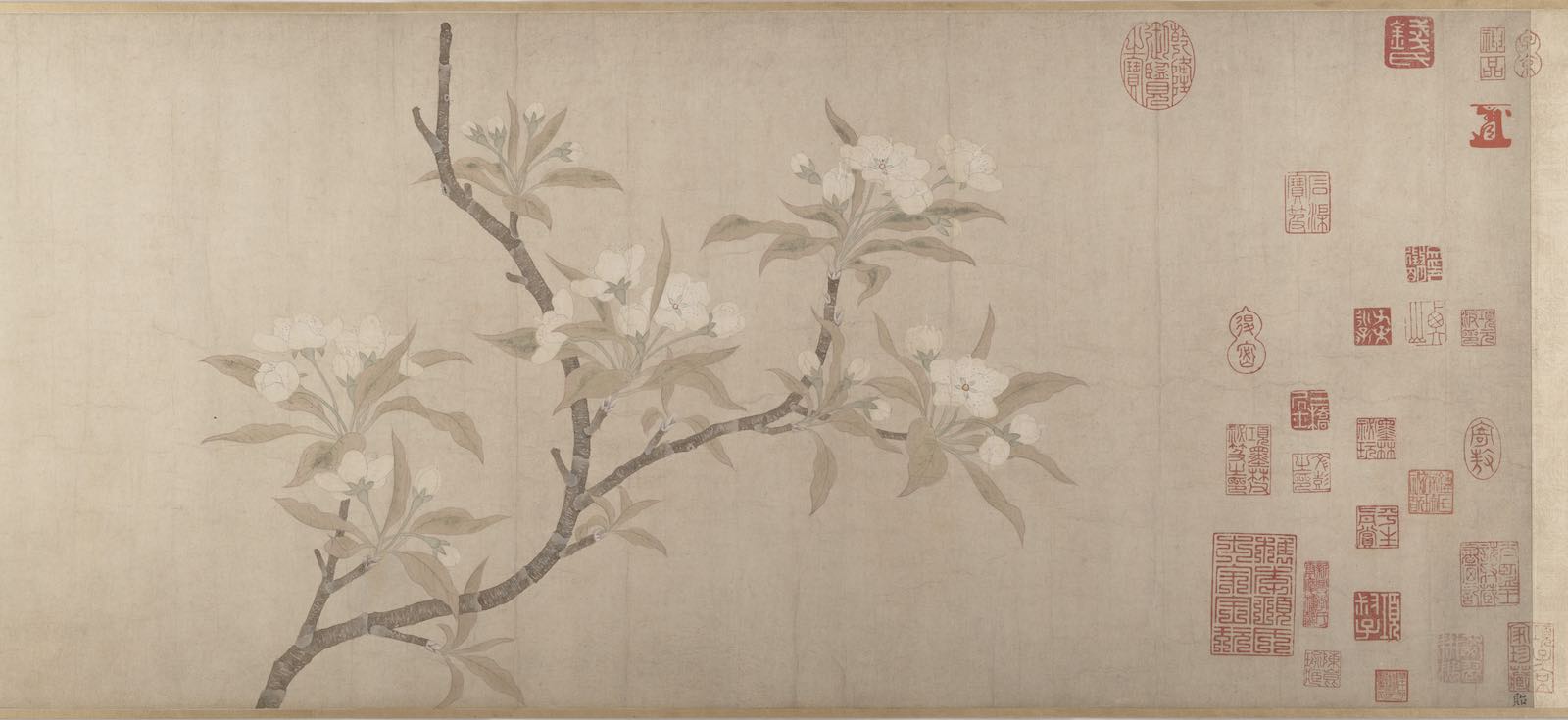 After Qian Xuan (Chinese, 1239–1301) Pear Blossoms, c. 1280 China, Yuan dynasty (1271–1368)
