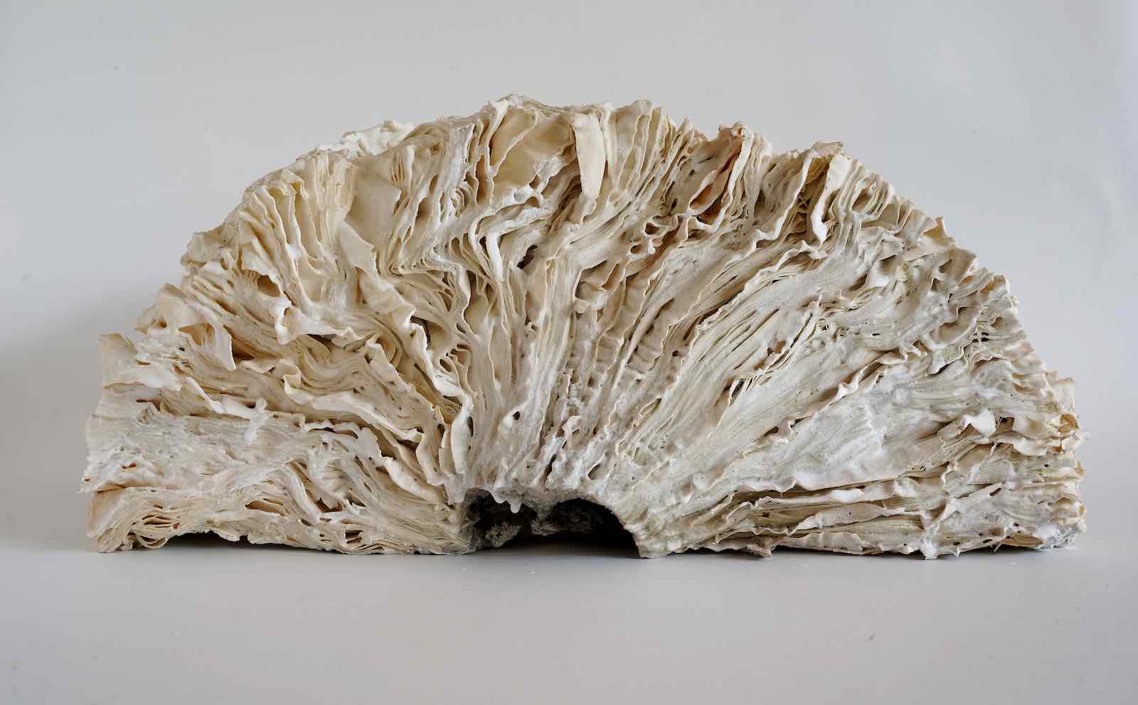 Yohei Nishimura, Webster's Third New International Dictionary, 2021, fired book. Maki Aizawa Collection