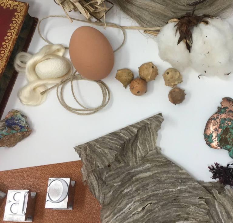 Throughout history, books were handwritten, printed, bound, and decorated using a wide variety of materials from the natural world.