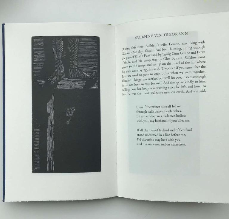 Buile Suibhne by Seán Hewitt