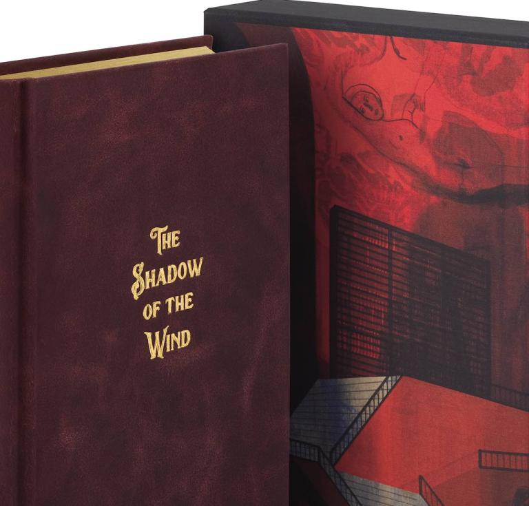  The Shadow of the Wind