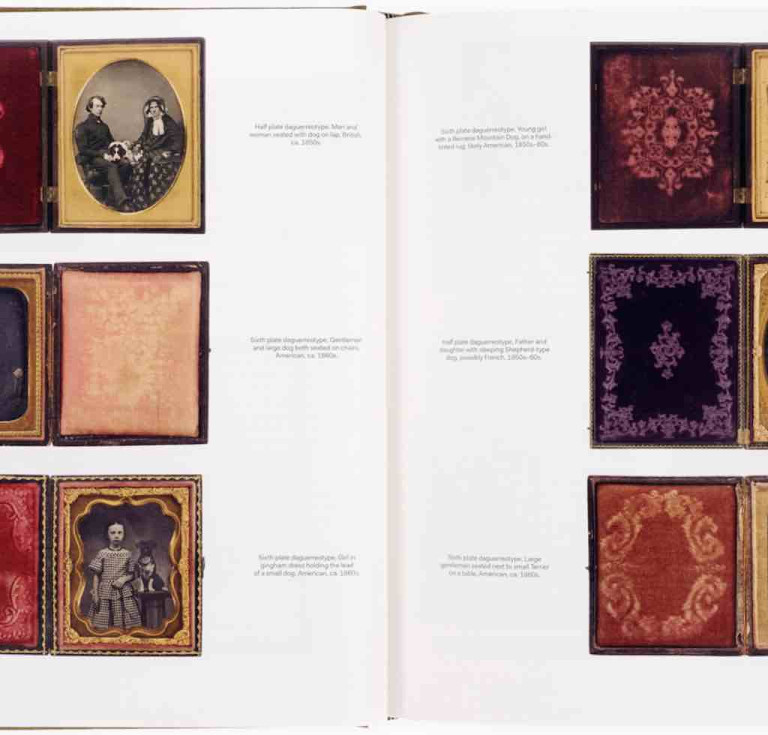 Dogs in Early Photography by John Koh