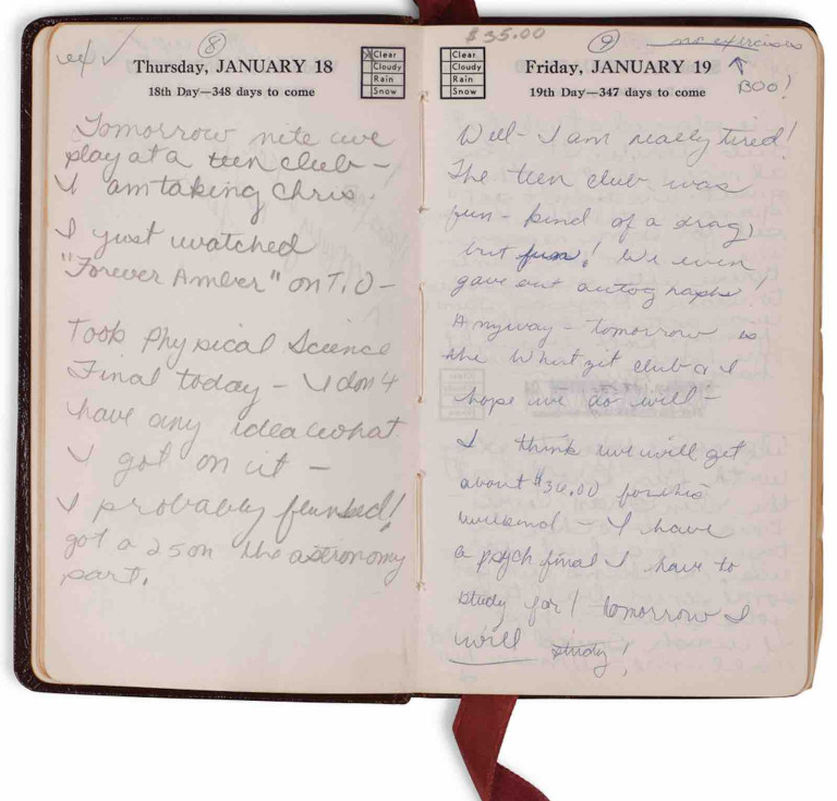 Stevie Nicks' personal diary with handwritten entries and annotations