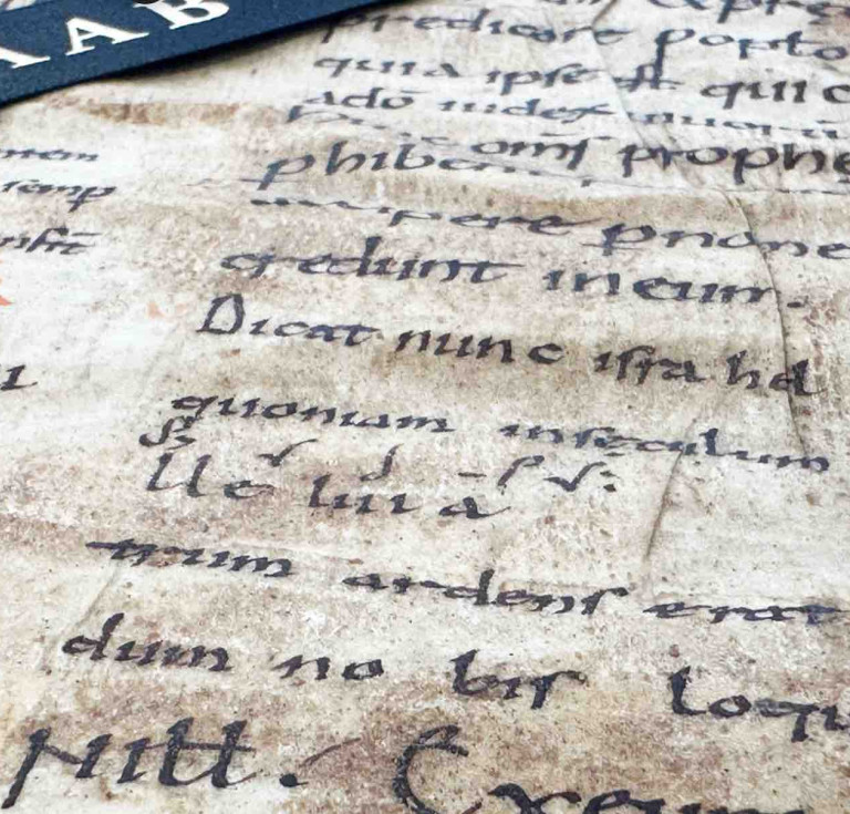 Part of the leaf offered by The Raab Collection