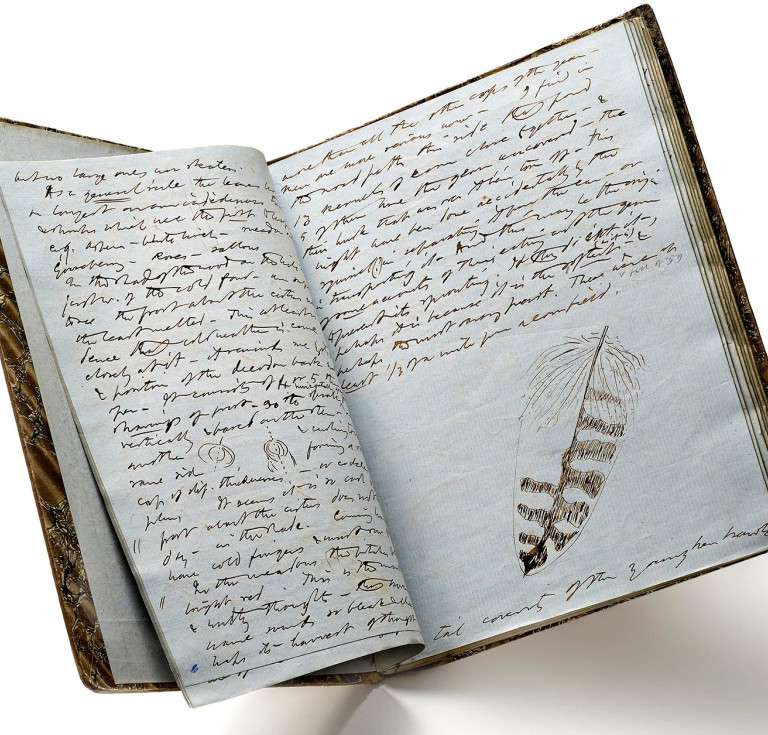Henry David Thoreau's Journal, November 9, 1858 - April 7, 1859, autograph manuscript